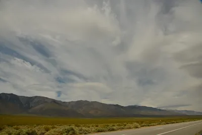 DSC_6587 (Large).JPG